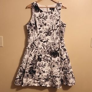 NWT💖Classy Black and White Floral Dress